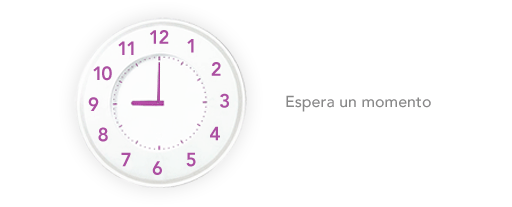 Procesando